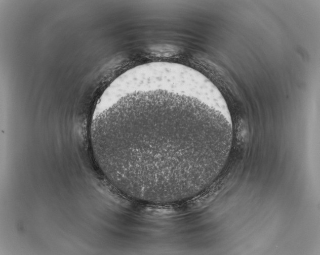 X0000111370559200908211320