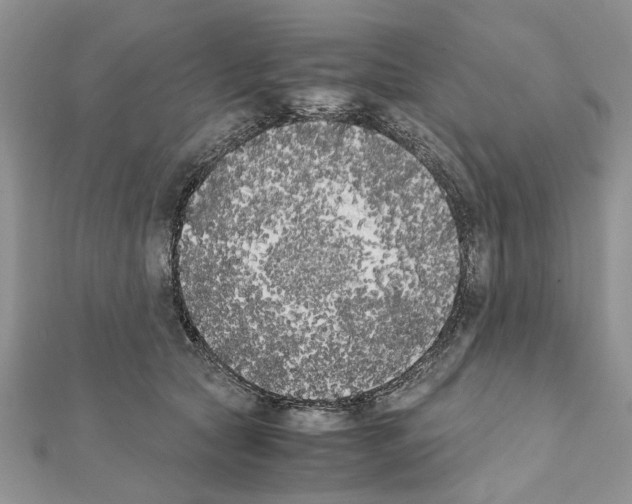 X0000111370561200908211321