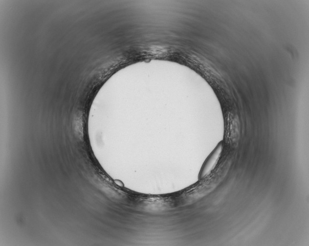 X0000111370562200908211321