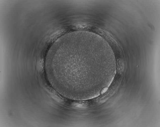 X0000111370563200908211321