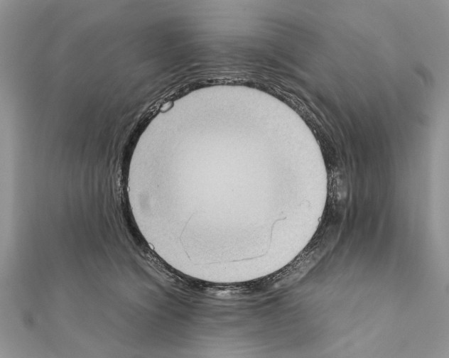 X0000111370564200908211321