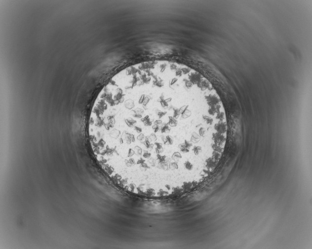 X0000111370565200908211321