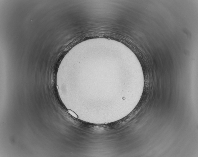 X0000111370566200908211321