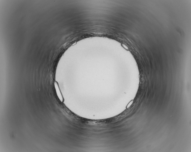 X0000111370568200908211321