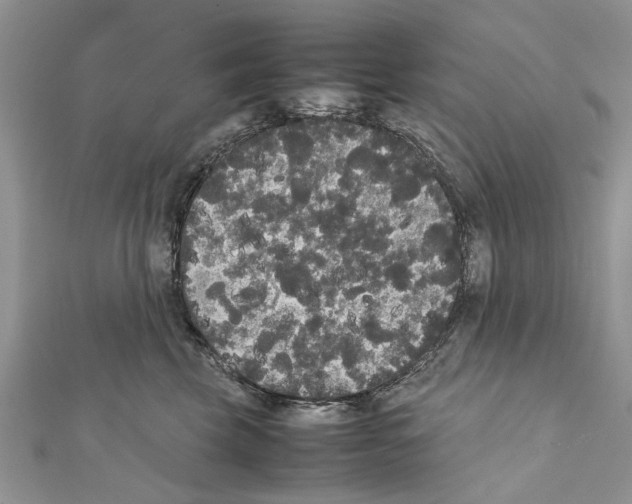 X0000111370569200908211321