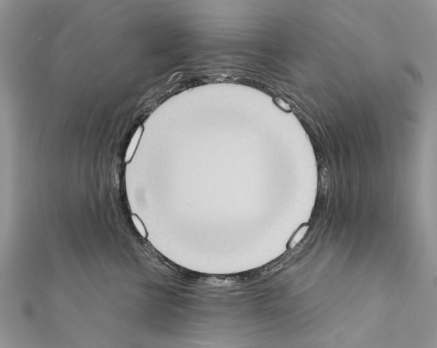 X0000111370570200908211321