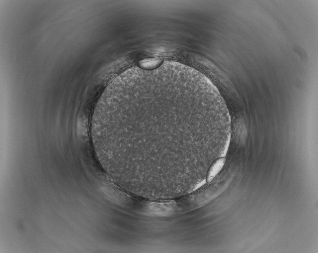 X0000111370571200908211321