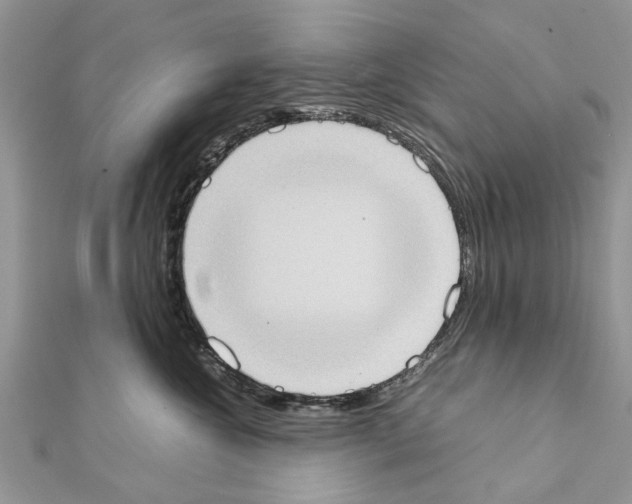 X0000111370572200908211321