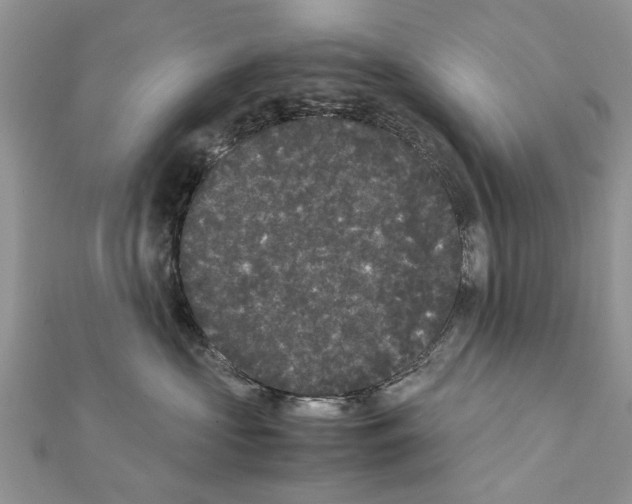 X0000111370573200908211321