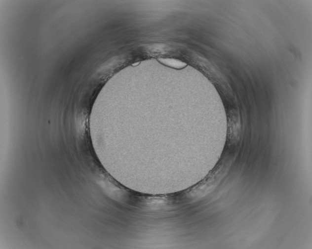 X0000111370574200908211321