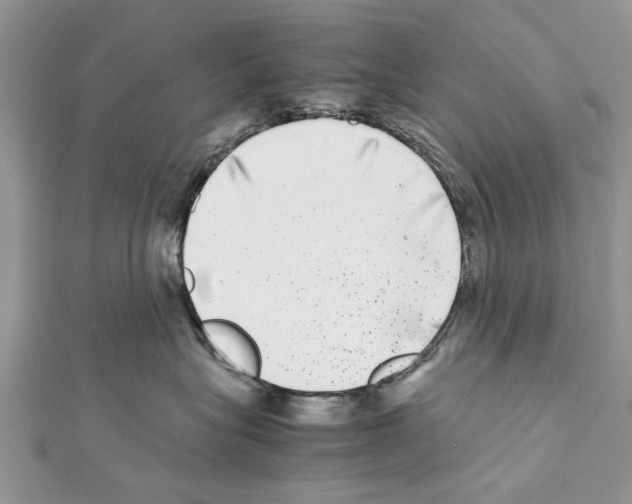 X0000111370575200908211321