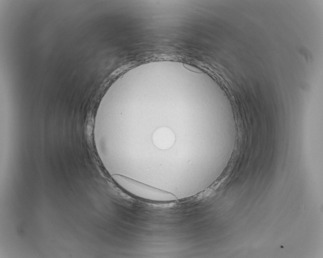 X0000111370576200908211321