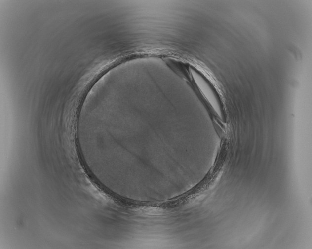 X0000111370577200908211320