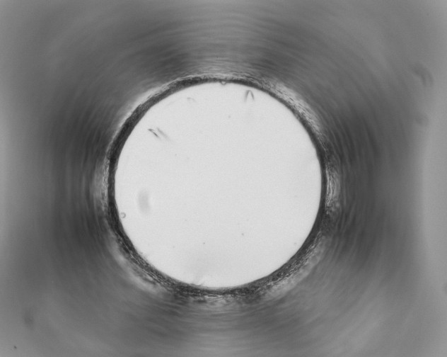 X0000111370580200908211320