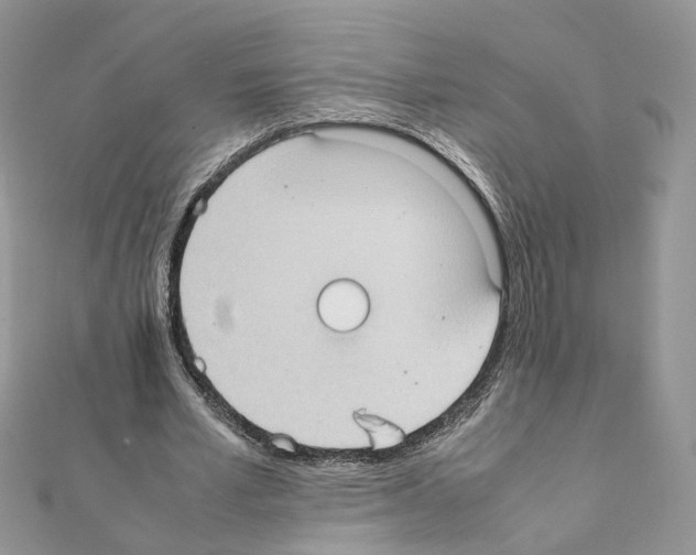 X0000111370581200908211320