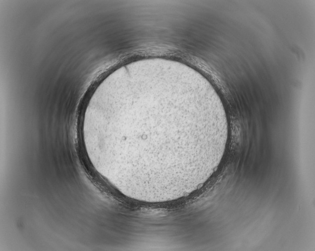X0000111370582200908211320