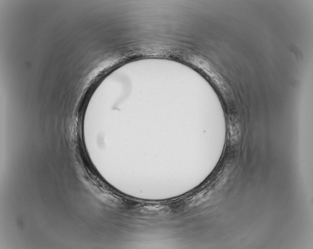 X0000111370583200908211320