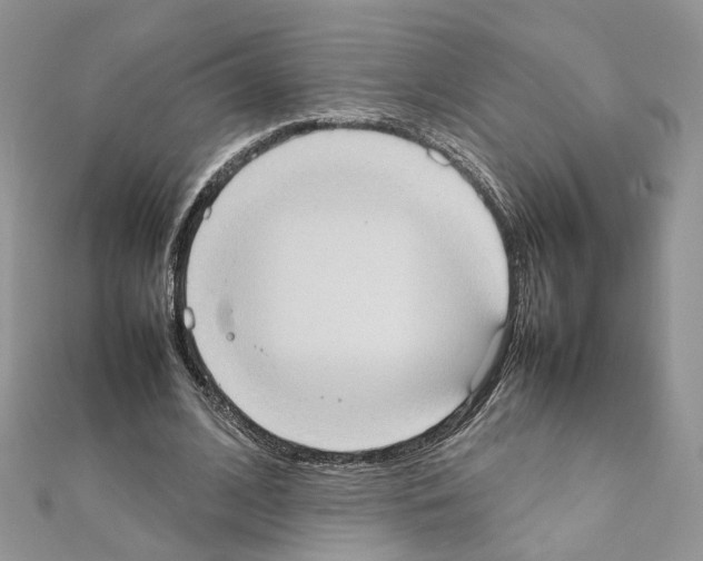 X0000111370584200908211320