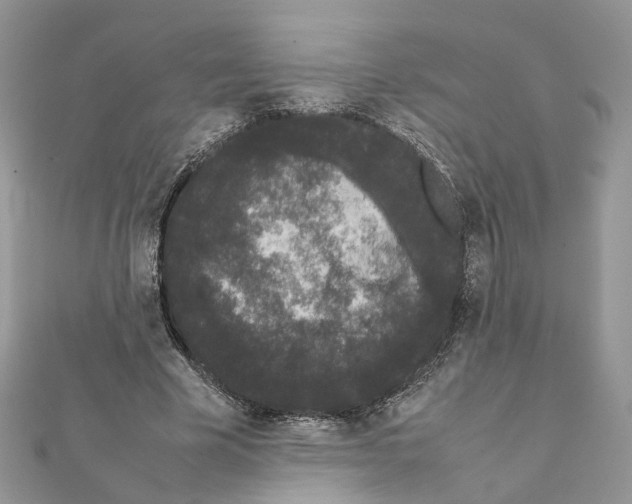 X0000111370585200908211320