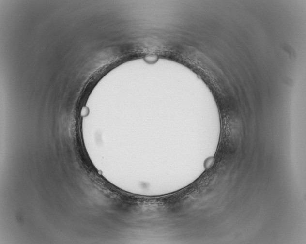 X0000111370587200908211320