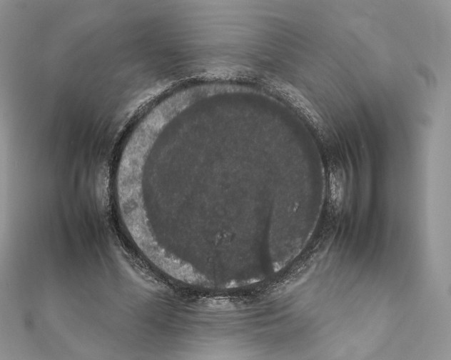 X0000111370588200908211320