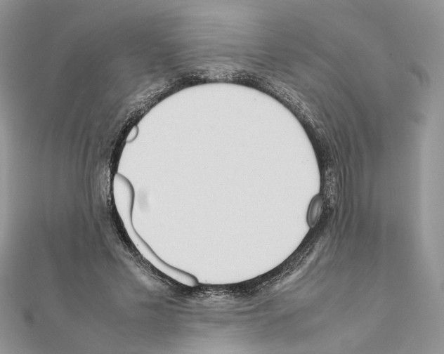 X0000111370589200908211320