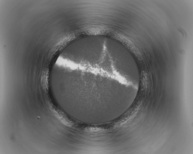 X0000111370590200908211320