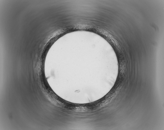 X0000111370591200908211320