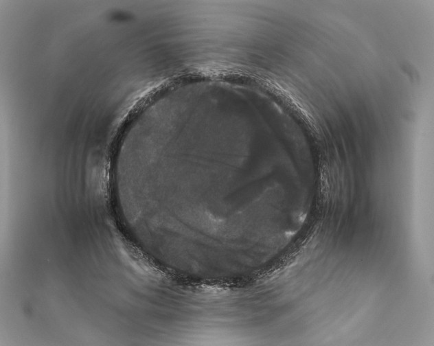 X0000111370592200908211320
