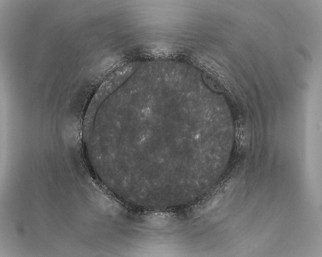 X0000111370593200908211320