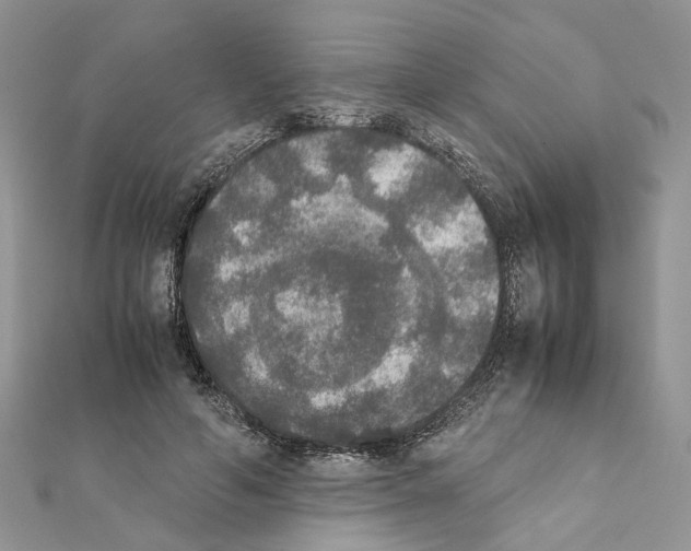 X0000111370594200908211320