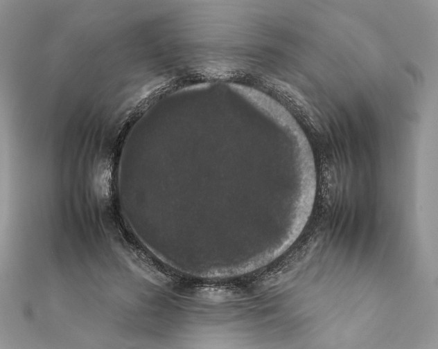 X0000111370596200908211320