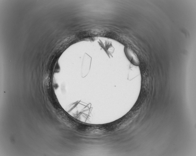 X0000111370597200908211320