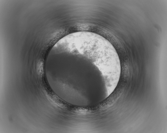X0000111370598200908211320