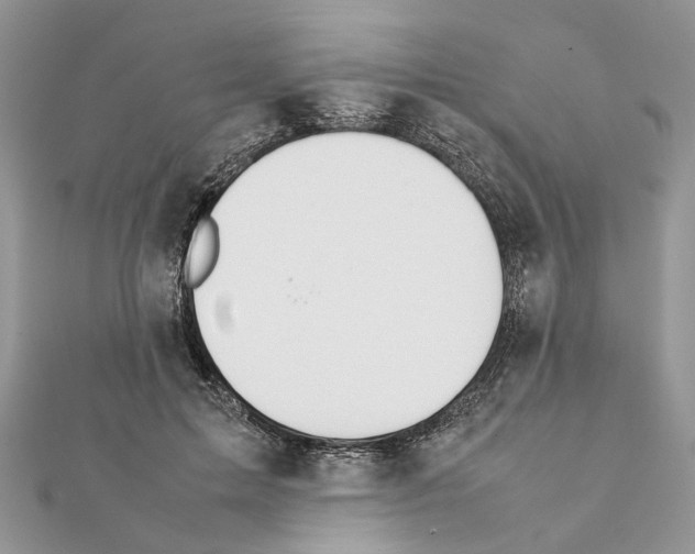 X0000111370599200908211320