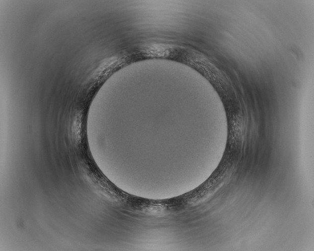 X0000111370600200908211320