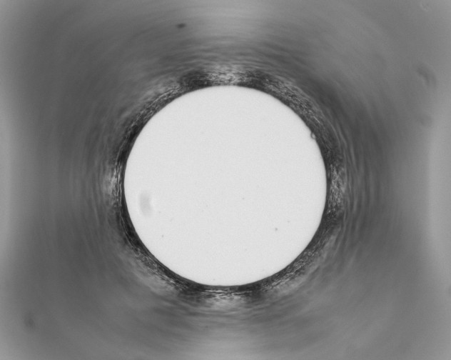 X0000111370601200908211320
