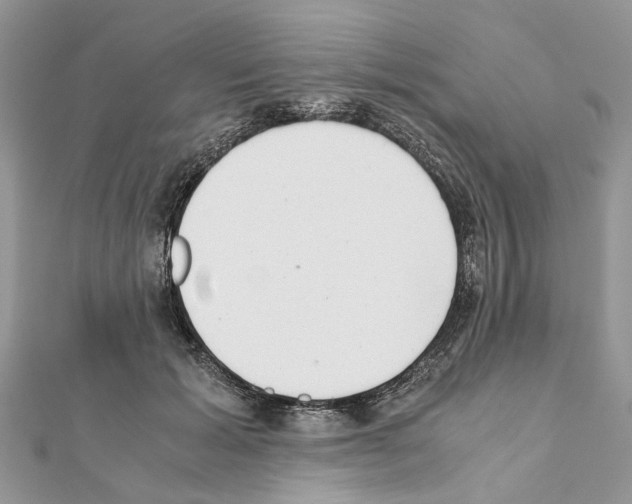 X0000111370605200908211320