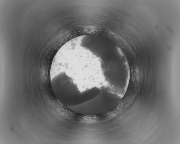 X0000111370606200908211320