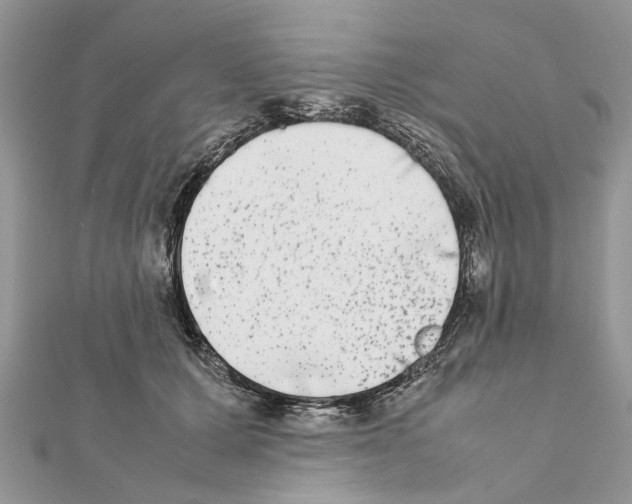 X0000111370607200908211320
