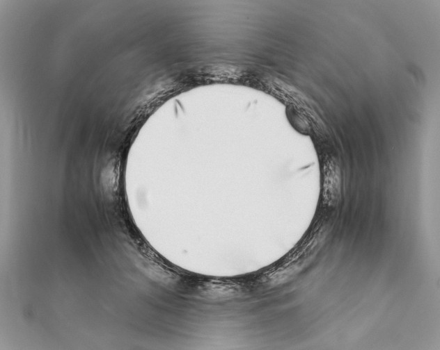 X0000111370608200908211320