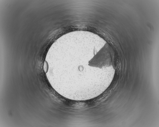 X0000111370609200908211320