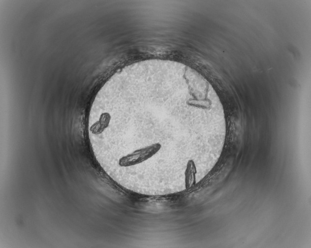 X0000111370612200908211320