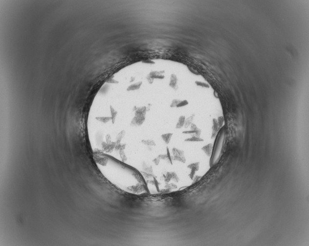 X0000111370613200908211320
