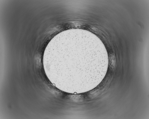 X0000111370615200908211320