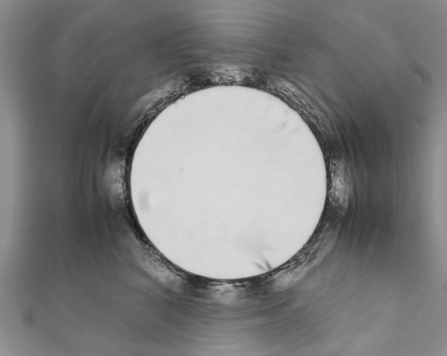 X0000111370616200908211320