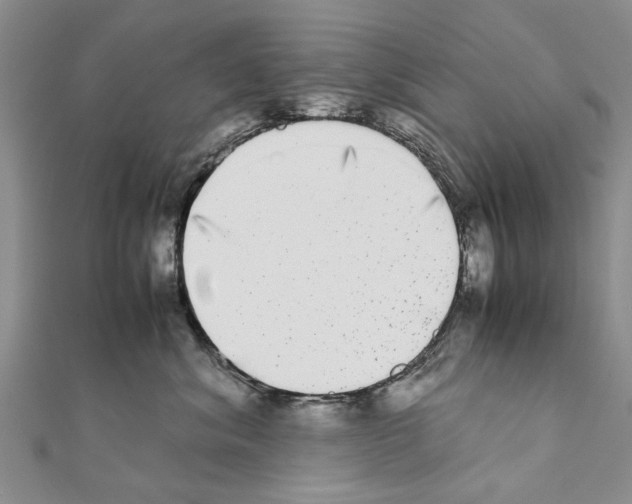 X0000111370620200908211320