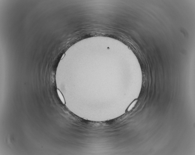 X0000111370621200908211320