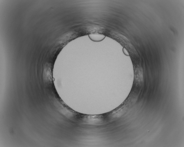 X0000111370622200908211320