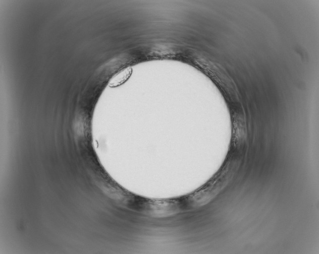 X0000111370623200908211319